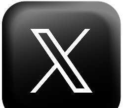 X 3D Icon